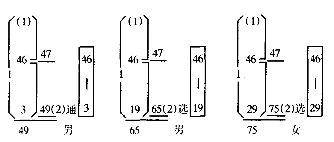 四十六畫