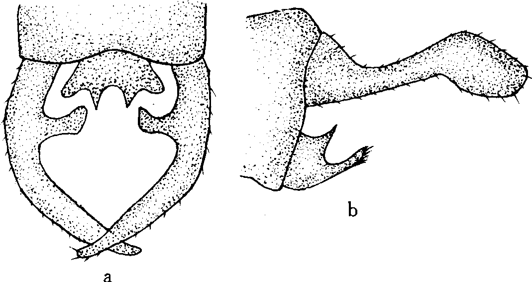 ODONATA:AESCHNIDAE，GOMPHIDAE，LIBELLU-LIDAE，AGRIIDAE，EPALLAGIDAE，COENAGRIIDAE， PLATYCNEMIDIDAE，MEGAPODAGRIIDAE，LESTIDAE AND SYNLESTIDAE