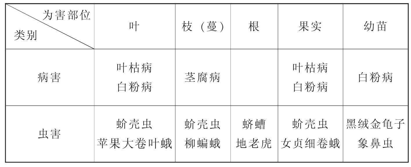 （四）病蟲害防治