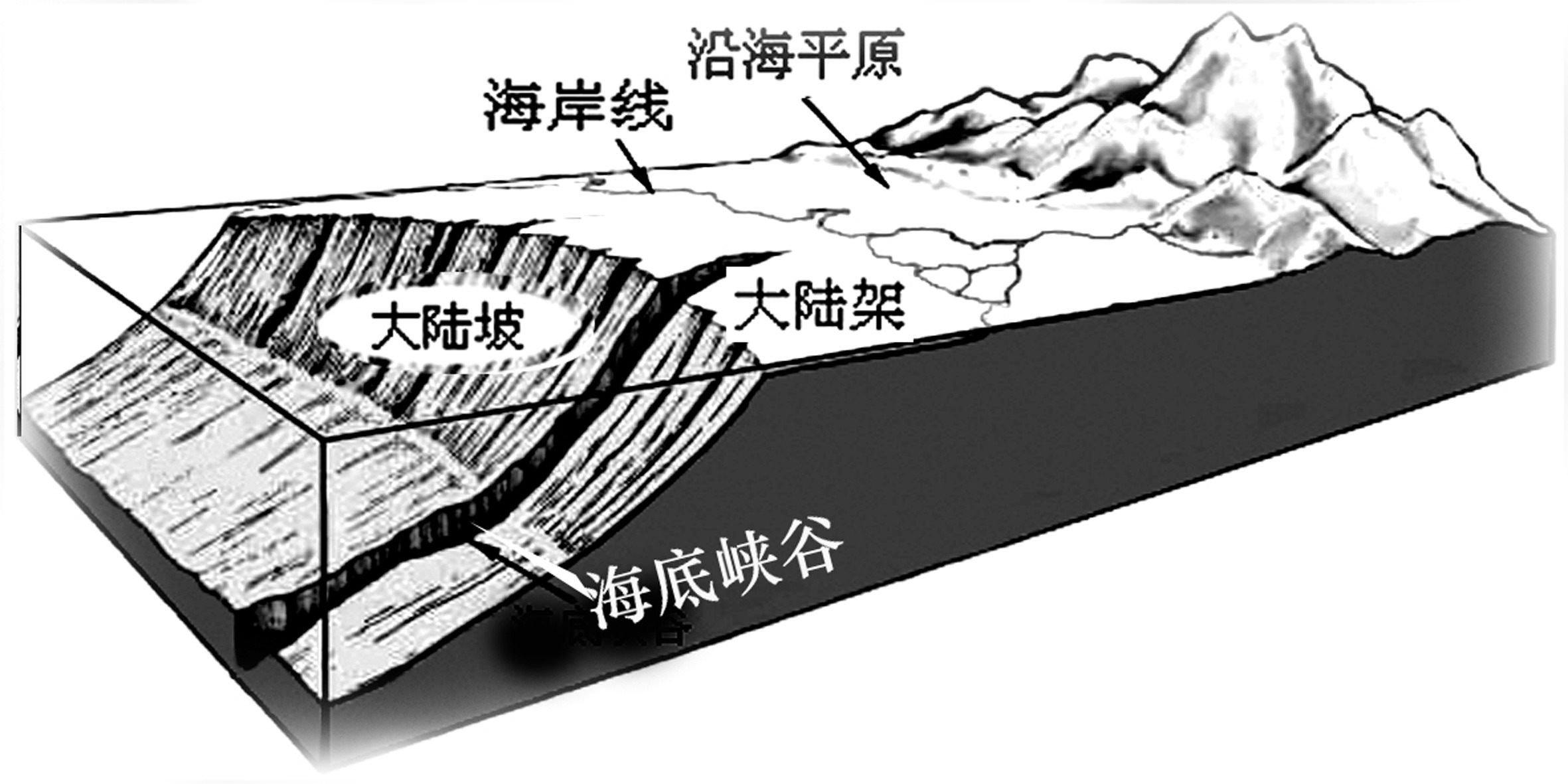 海和洋的區(qū)別