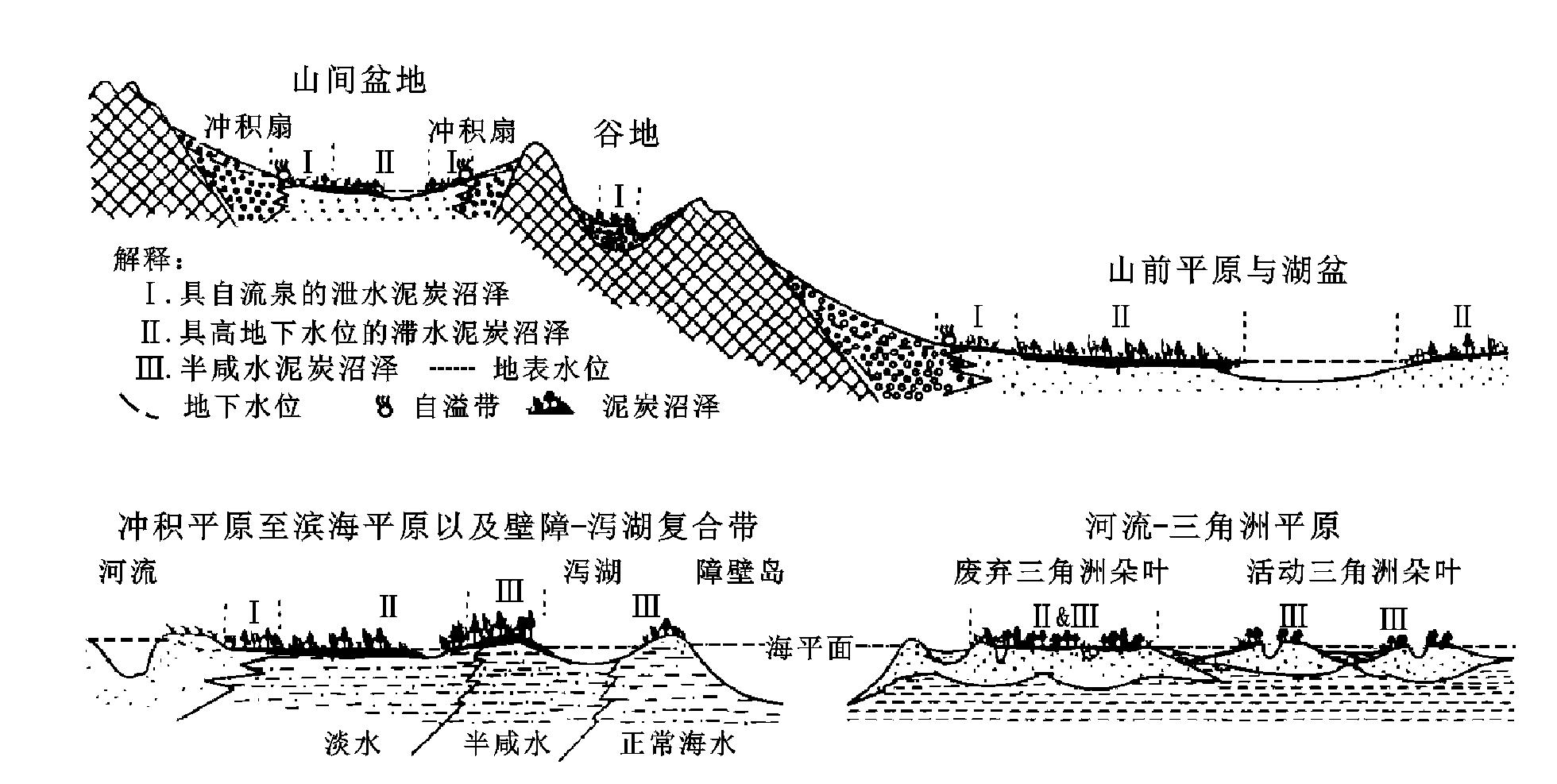 含煤巖系沉積學(xué)的起源與歷史回顧